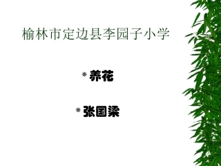 小学六年级下学期语文《养花》PPT课件