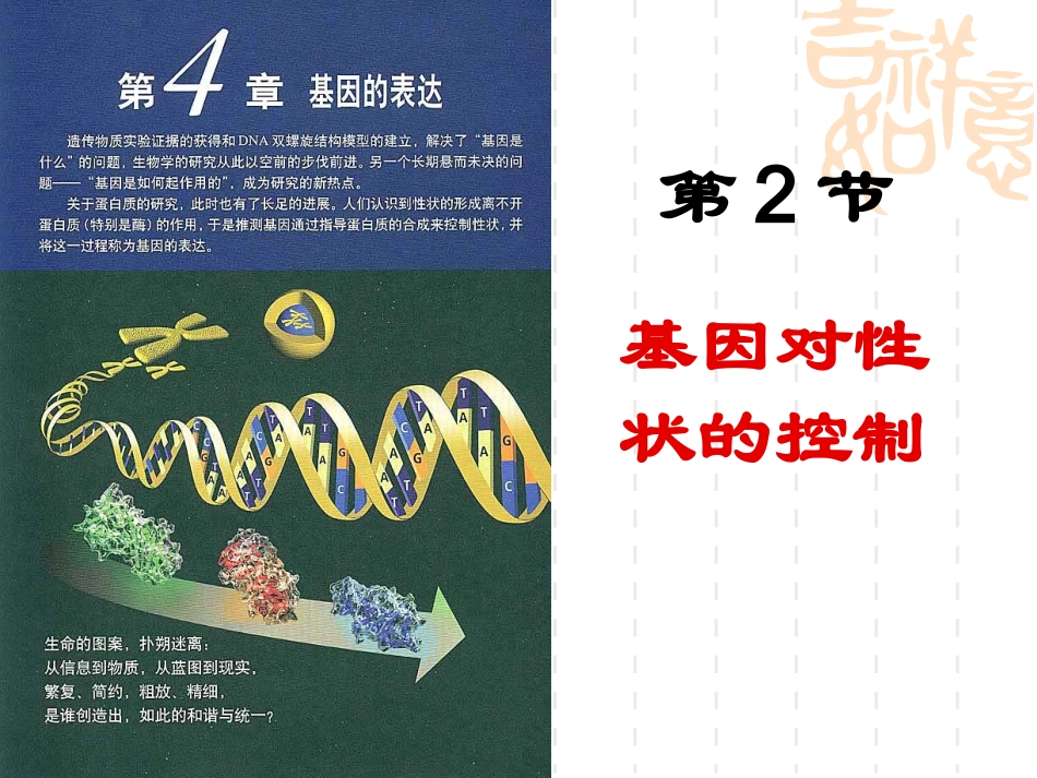 4.2《基因对性状的控制》课件-向媛_第1页