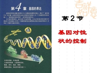 4.2《基因对性状的控制》课件-向媛