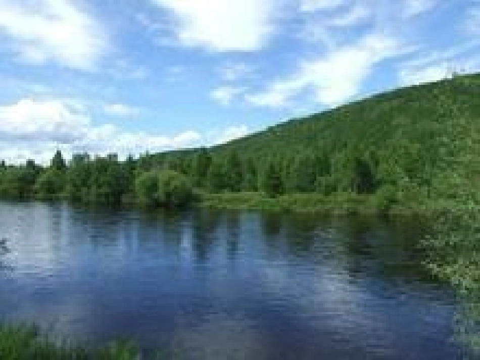 《美丽的小兴安岭》PPT课件(西师大版小学语文三年级下册课件)---副本_第3页