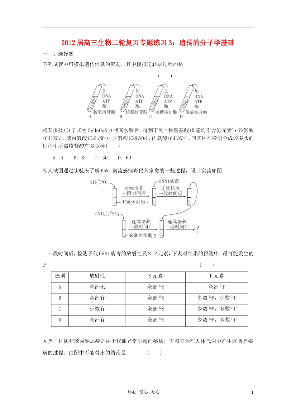 2012届高三生物二轮复习-遗传的分子学基础专题练习3-新人教版_第1页