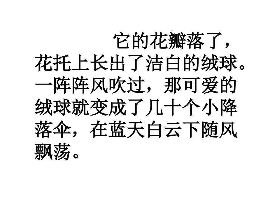 8蒲公英课件_第2页