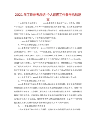 2024年工作参考总结-个人巡视工作参考总结范文 