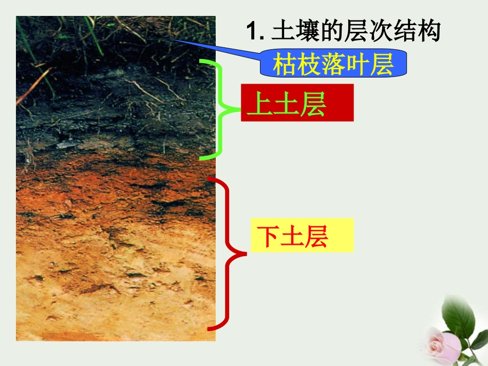 浙江省嵊州市城关中学八年级科学《土壤中有什么1》课件_第2页