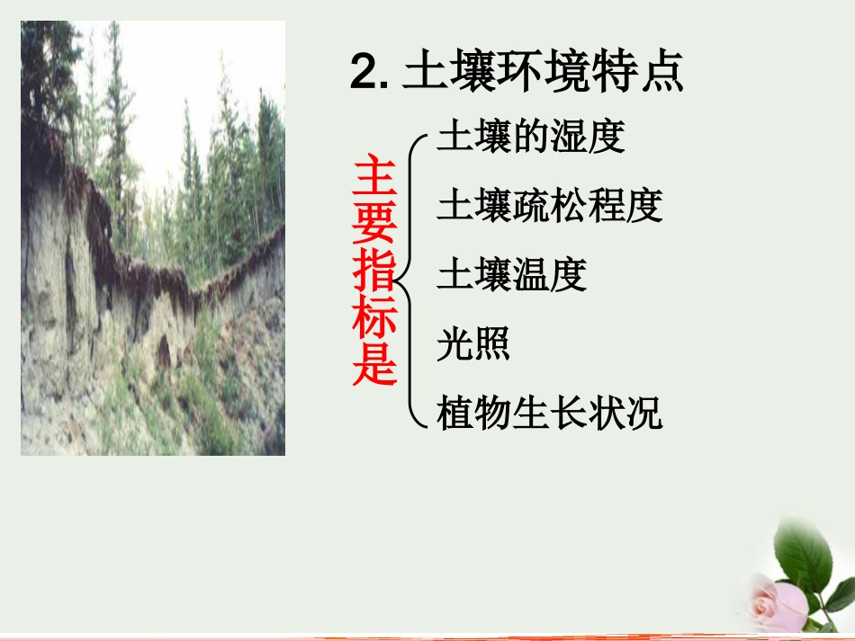 浙江省嵊州市城关中学八年级科学《土壤中有什么1》课件_第3页