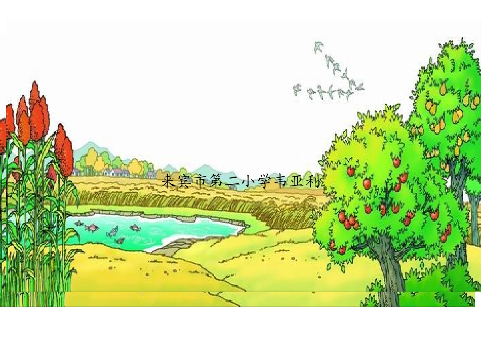 秋天的图画-(1)_第1页