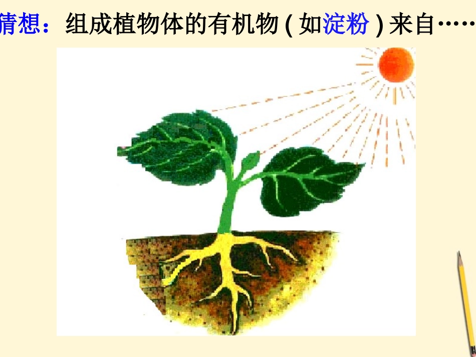 浙江省桐乡三中八年级科学下册《植物体是如何长大的》课件-浙教版_第2页