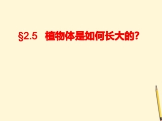 浙江省桐乡三中八年级科学下册《植物体是如何长大的》课件-浙教版