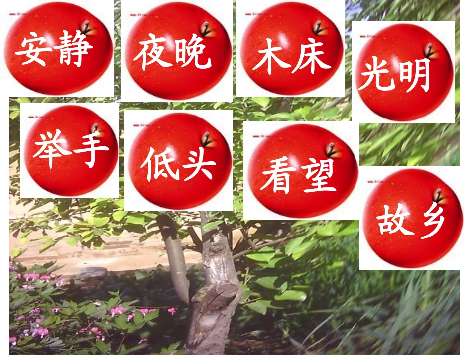 《静夜思》课件_第3页