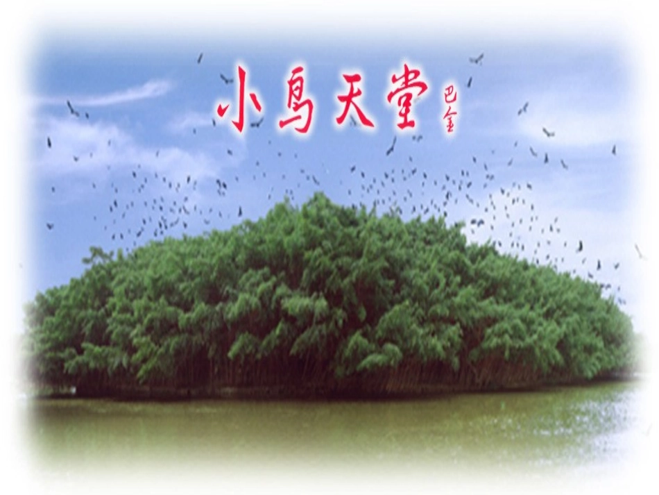 四年级《鸟的天堂》ppt课件1_第1页