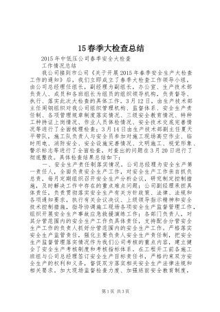 15春季大检查总结