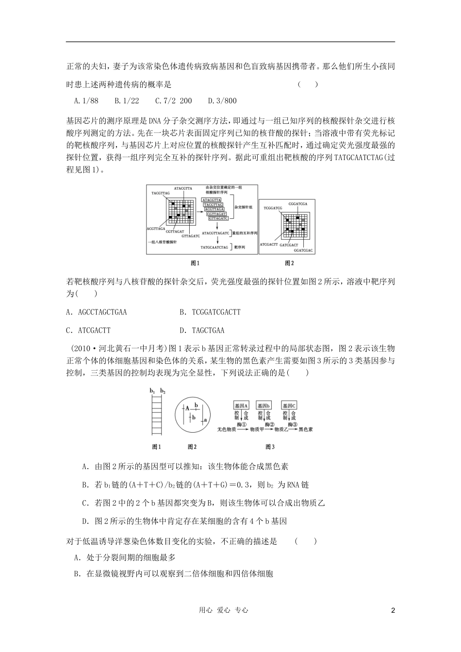 2012届高三生物二轮专题模块练习36-新人教版必修2_第2页