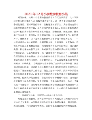 2024年12月小学数学教育小结 