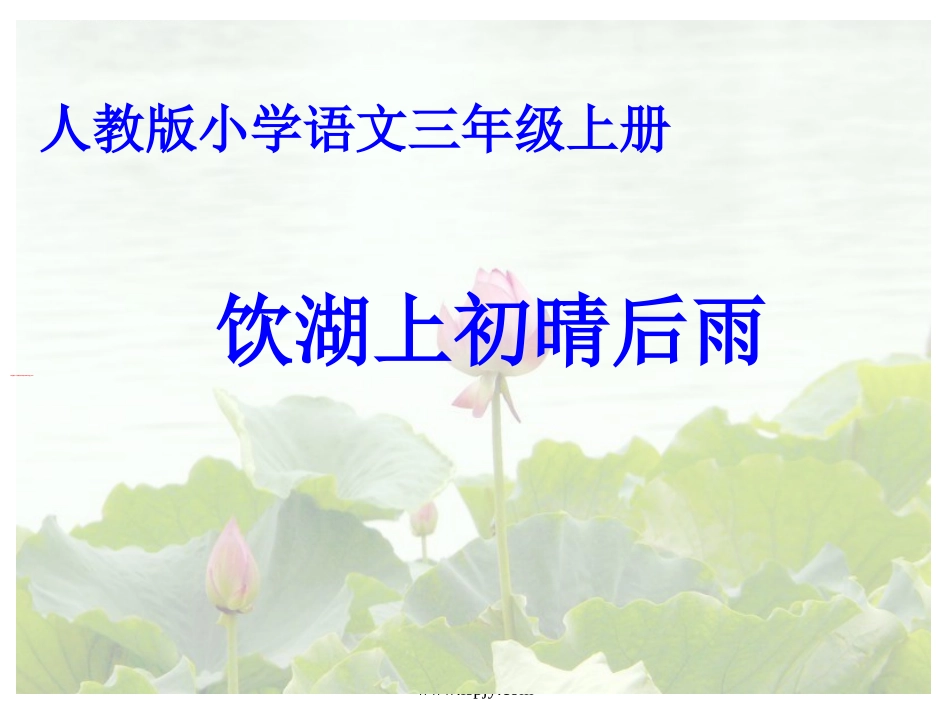 人教版小学语文三年级上册--饮湖上初晴后雨PPT课件_第1页