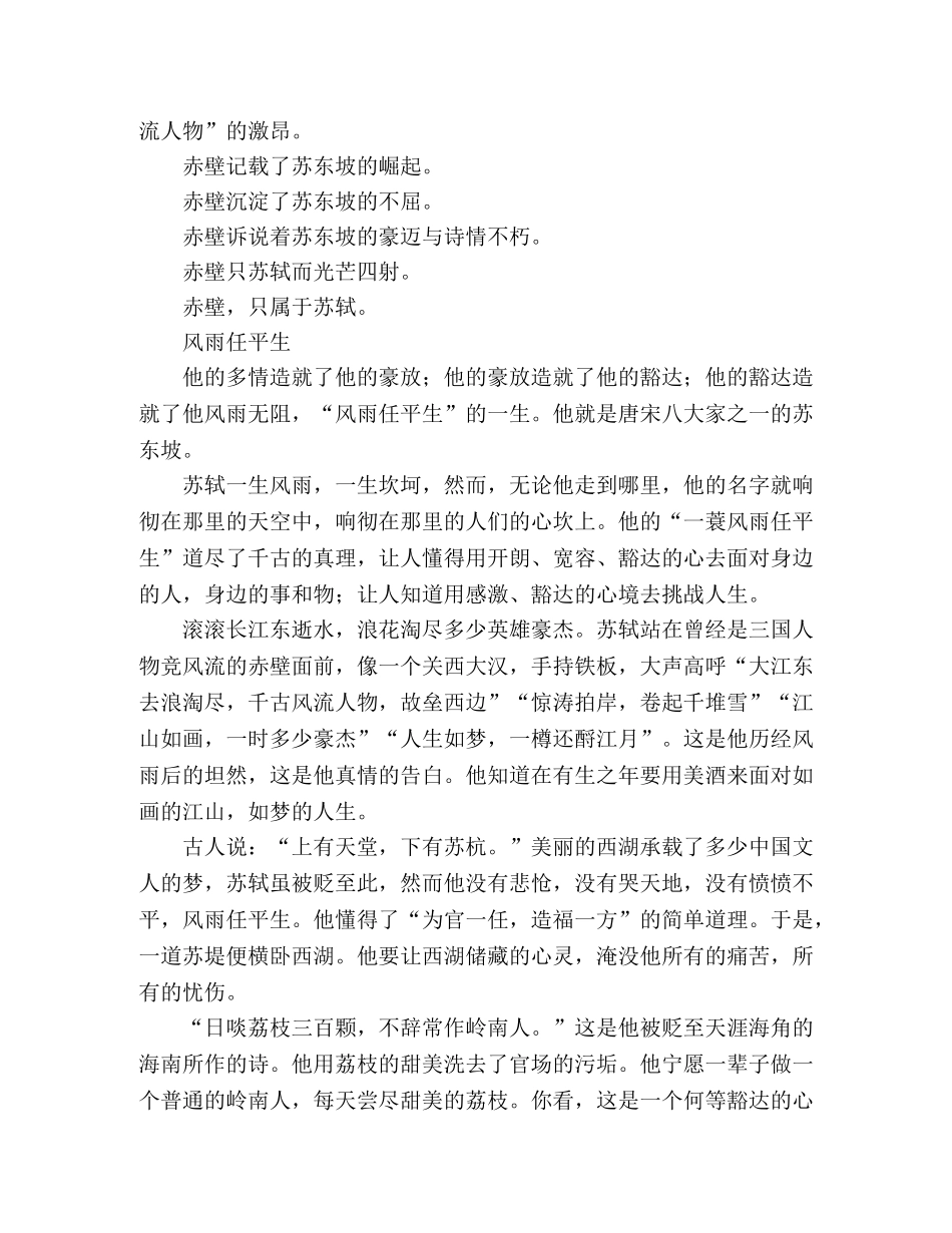 2024年福建高考优秀作文苏轼的赤壁 _第2页