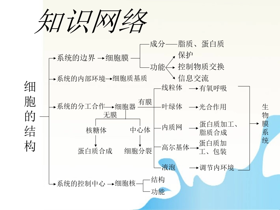 2012届高三生物一轮复习知识网络汇总-第2单元-细胞的基本结构课件_第2页