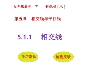 相交线与平行线-(5)