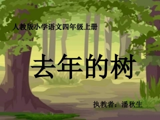 去年的树.ppt