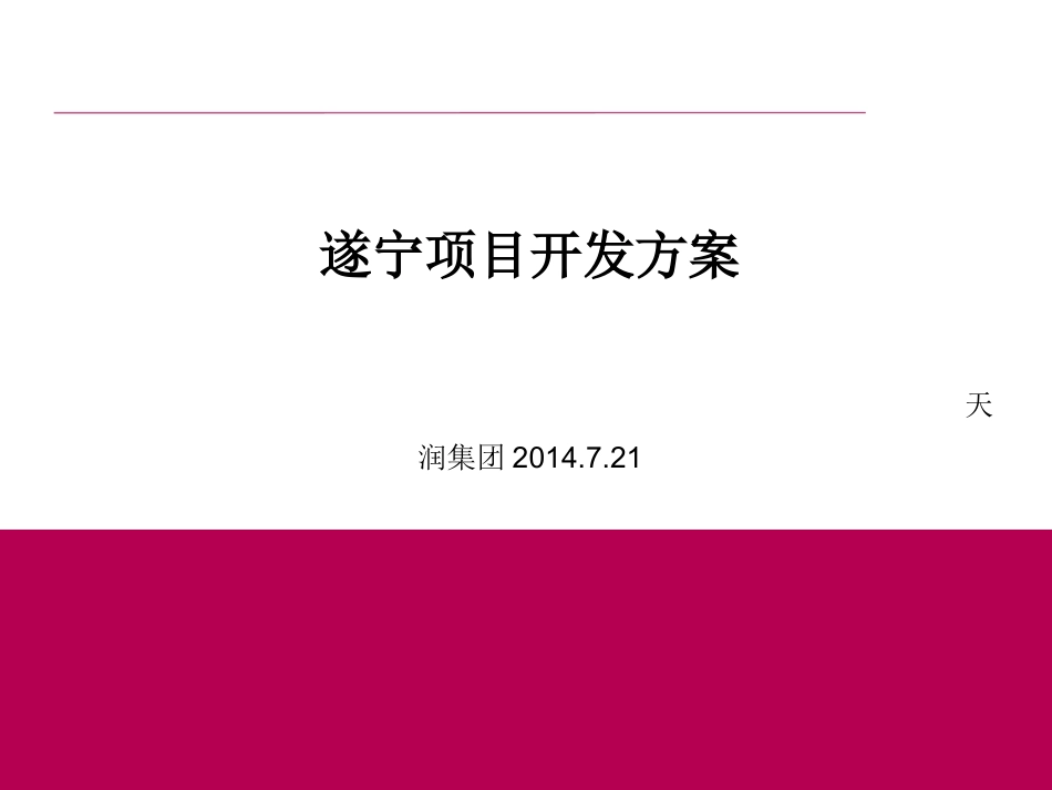 2014年遂宁项目开发方案_第1页