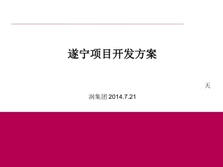 2014年遂宁项目开发方案