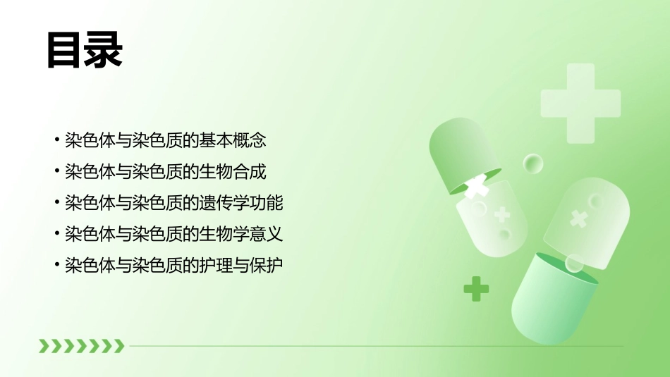 《细胞生物学》染色体染色质护理课件_第2页