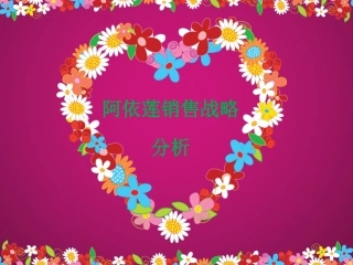 阿依莲营销策略分析PPT