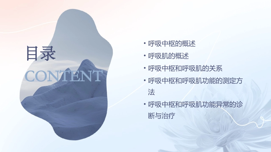 呼吸中枢和呼吸肌功能测定课件_第2页
