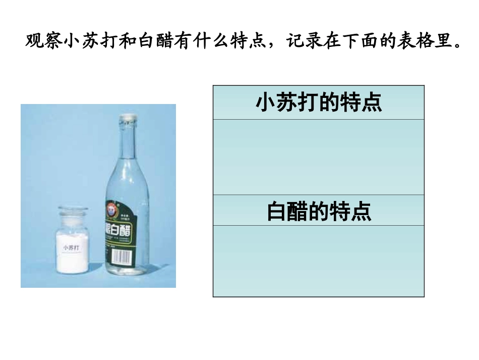 教科版小学科学六年级下册第二单元《小苏打和白醋的变化》PPT课件_第2页