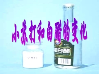 教科版小学科学六年级下册第二单元《小苏打和白醋的变化》PPT课件