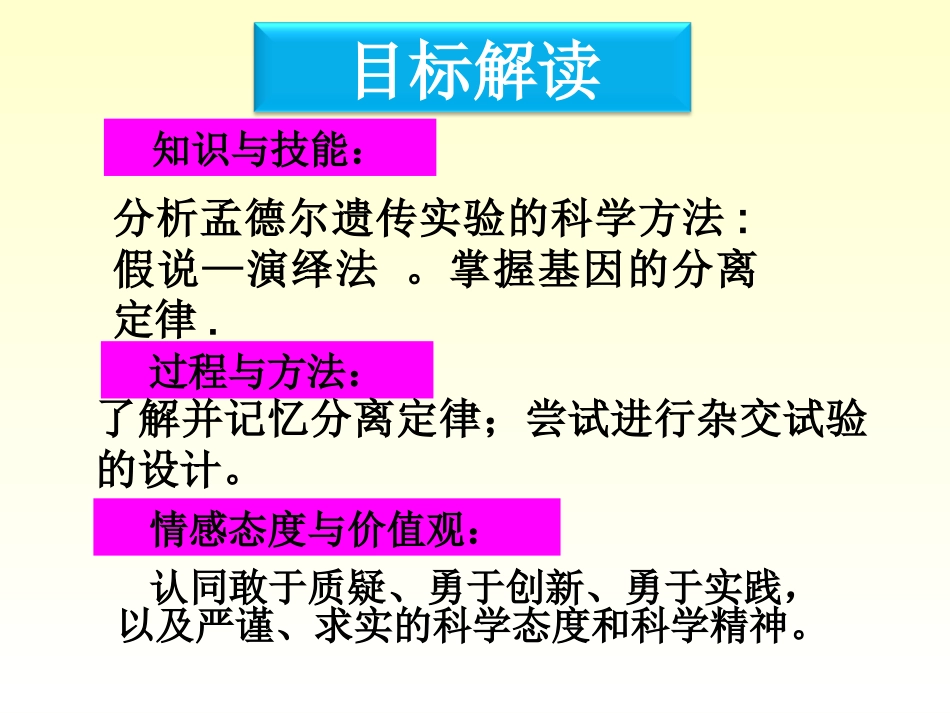 1.1《孟德尔的豌豆杂交实验》课件2_第2页