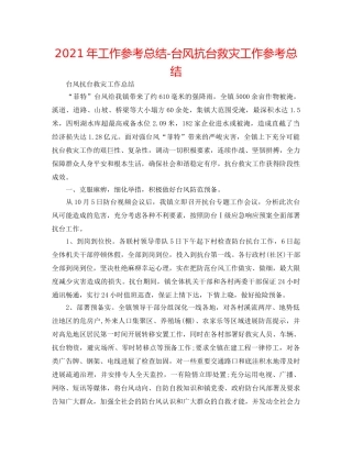 2024年工作参考总结-台风抗台救灾工作参考总结 