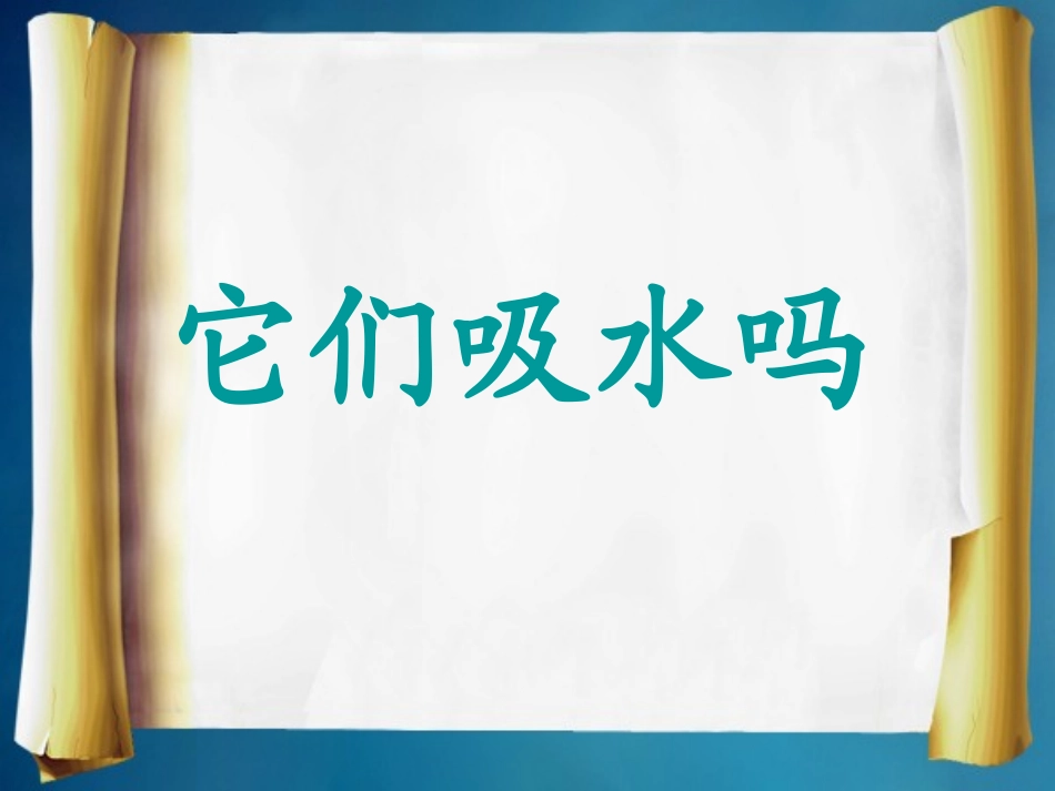 《它们吸水吗》教学课件_第1页