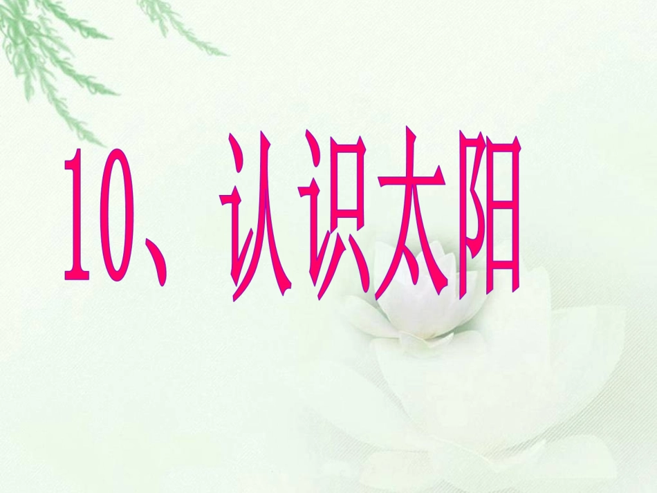 青岛版小学科学课件《认识太阳》_第1页