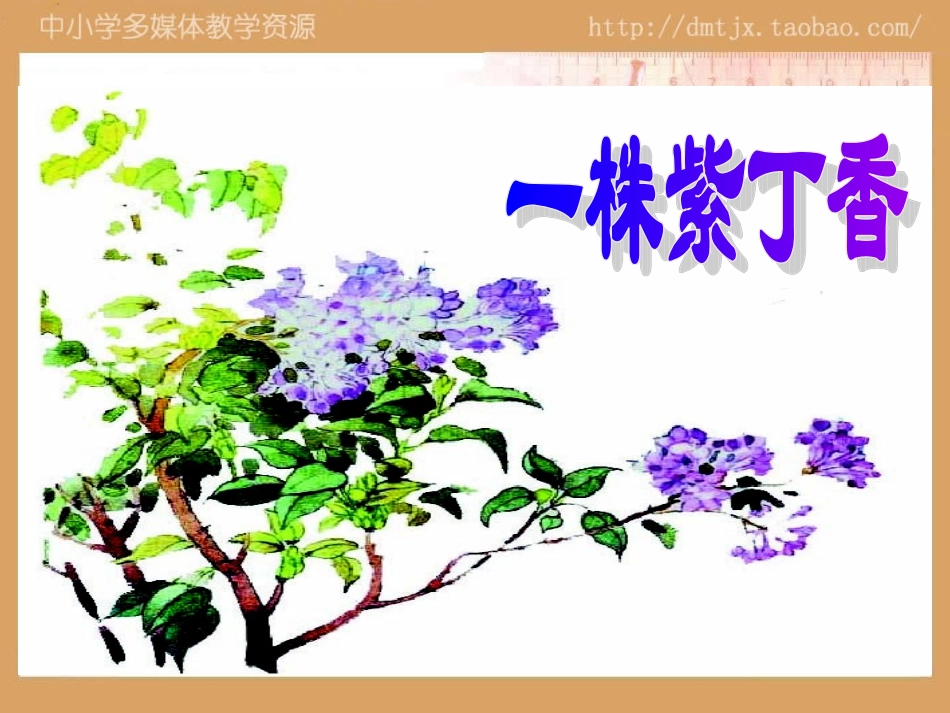 sjyw020106一株紫丁香._第3页