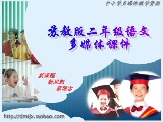 sjyw020106一株紫丁香.