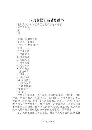 12月份团日活动总结书