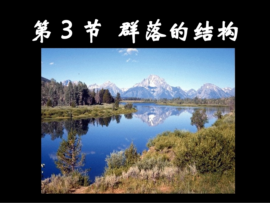 4.3《群落的结构》课件-孙美琴_第1页