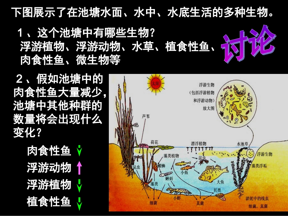 4.3《群落的结构》课件-孙美琴_第2页