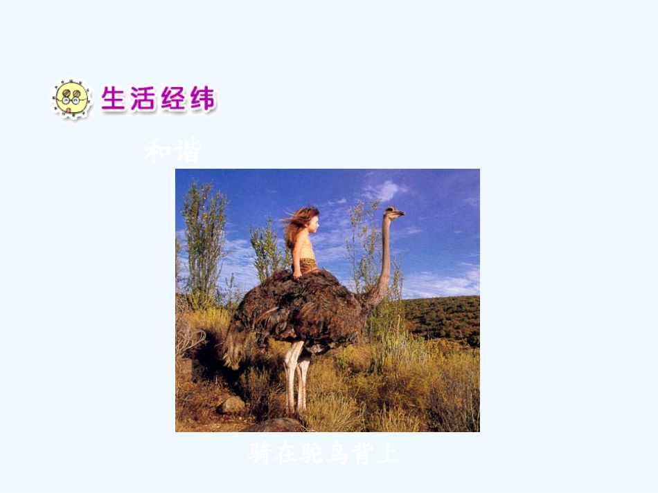 7我和动物交朋友2_第2页