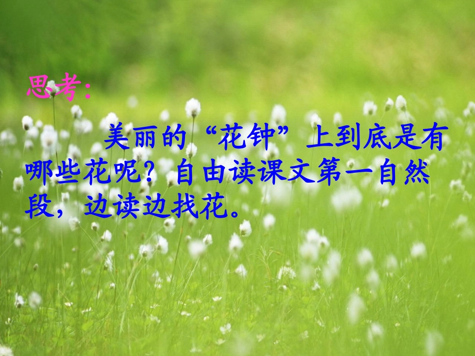 《花钟》课件新._第3页