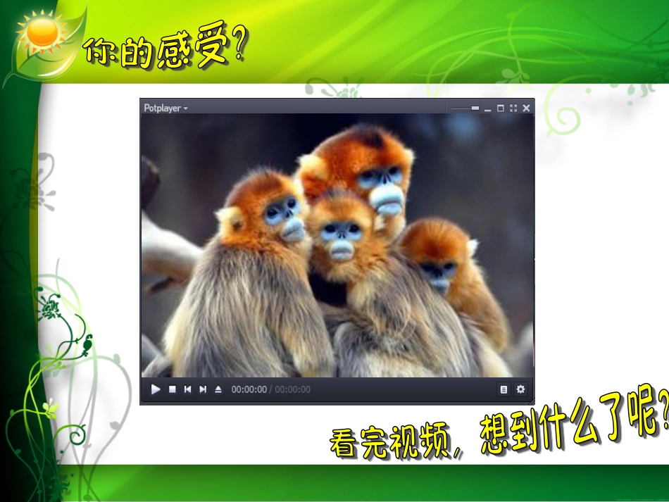 青岛版小学信息技术五年级上册《Powerpoint文本框的插入》课件_第1页