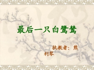最后一只白鹭鸶