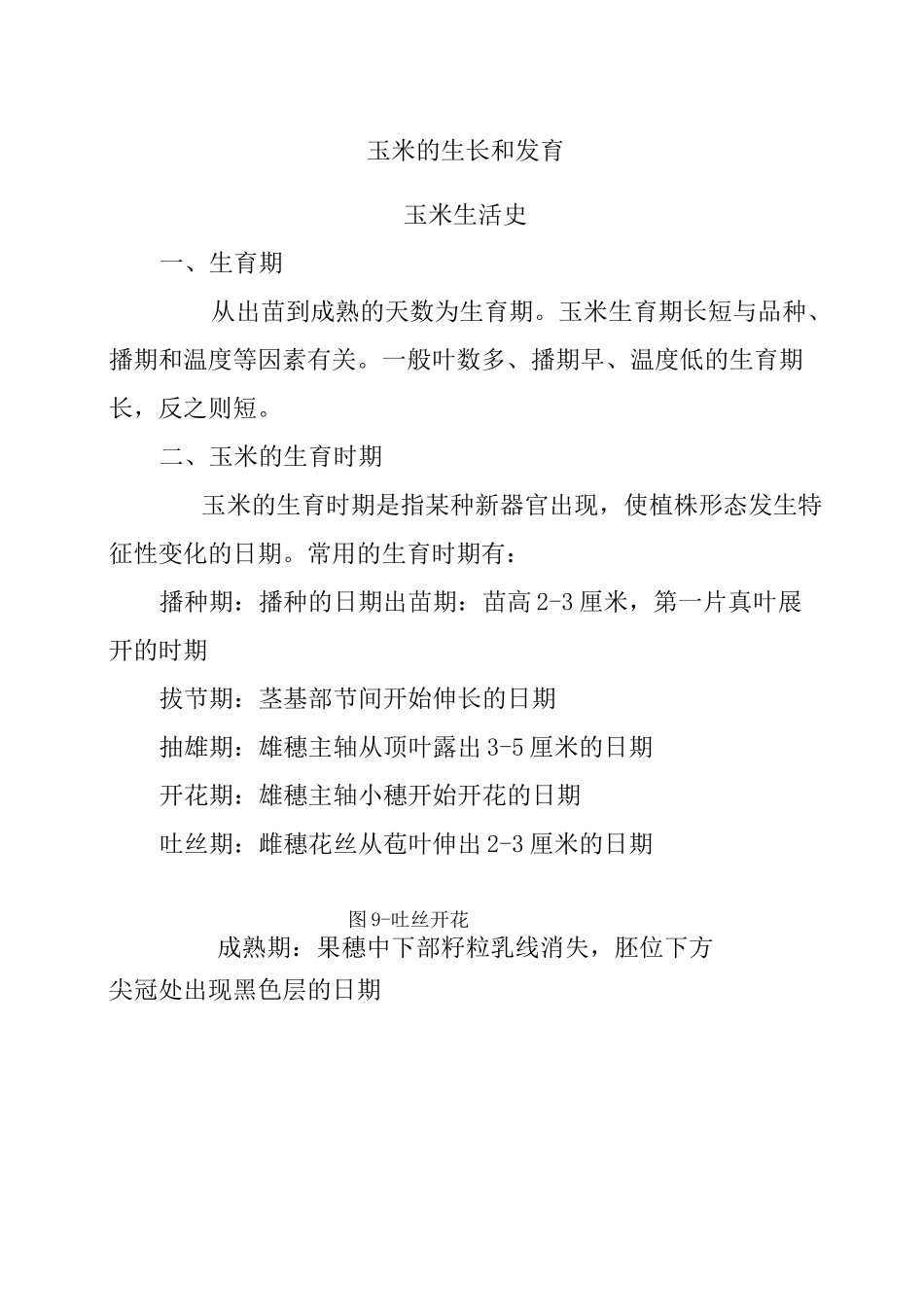 玉米的生长和发育_第1页