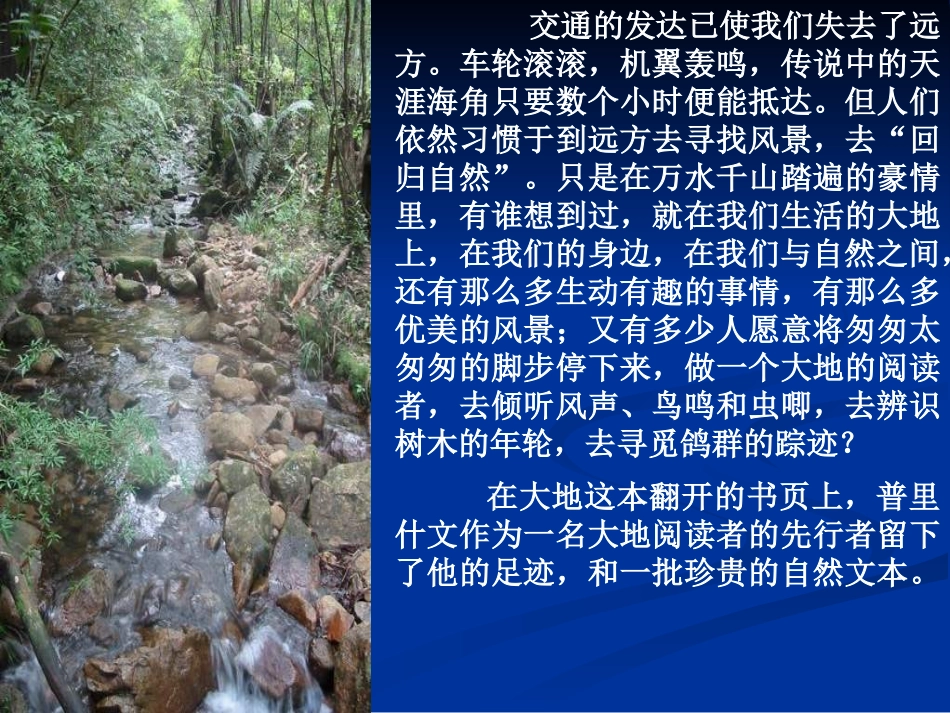 九年级语文林中小溪_第1页