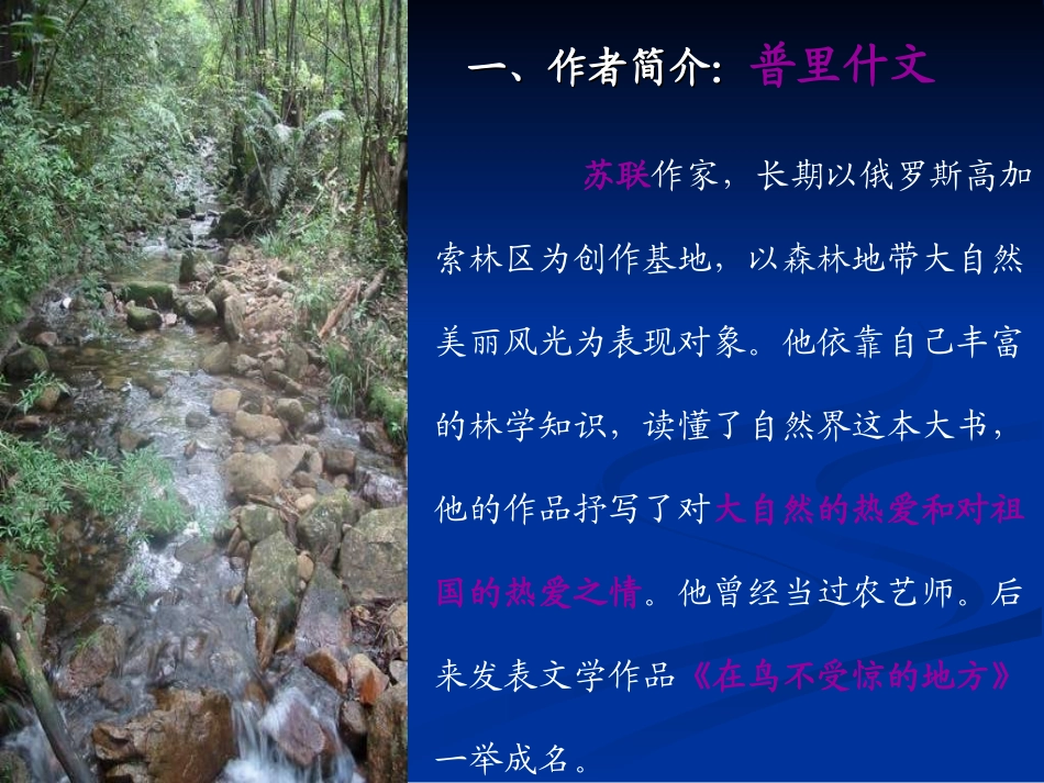 九年级语文林中小溪_第2页