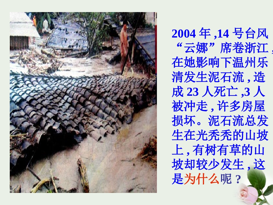 浙江省温州市平阳县腾蛟一中八年级科学下册-《3.3植物与土壤》课件一-浙教版_第2页