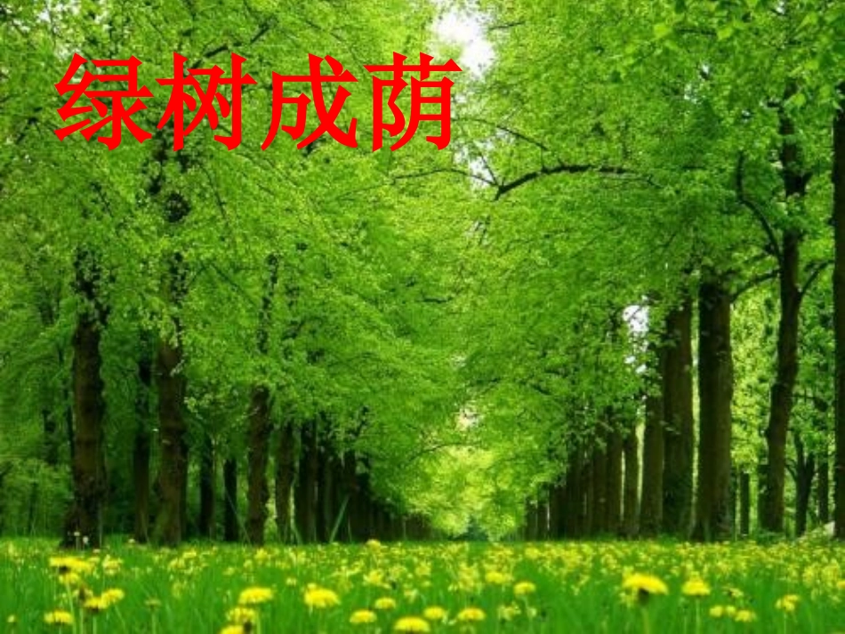 (部编)人教语文2011课标版一年级下册13《荷叶圆圆》课件-(2)_第3页