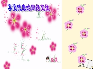 浙江省上虞市竺可桢中学八年级政治《享受健康的网络交往》课件