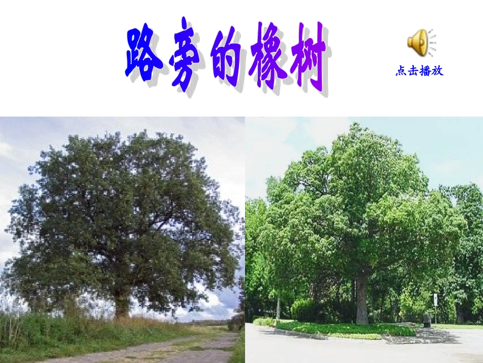 8.路旁的橡树._第3页