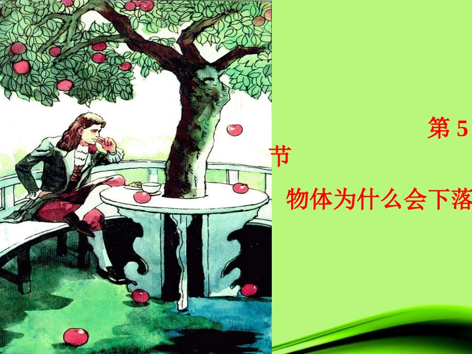 浙江省泰顺县新城学校八年级物理《物体为什么会下落》课件_第2页